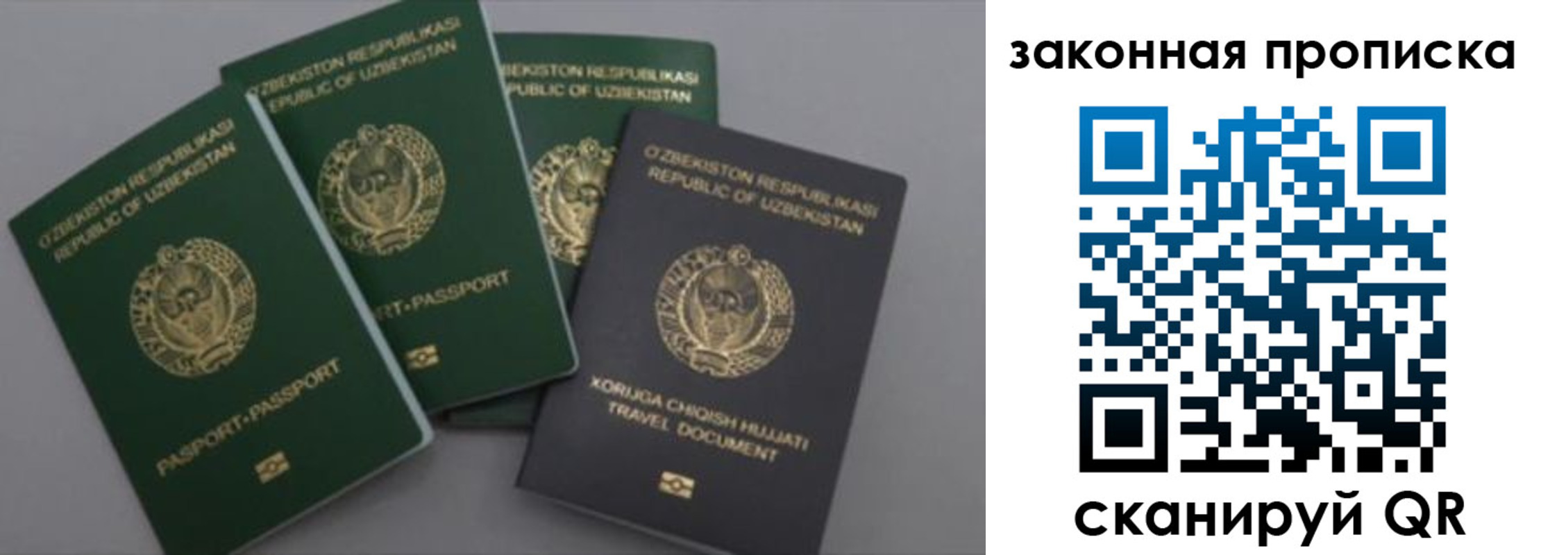 прописка законно в Волгоградской области